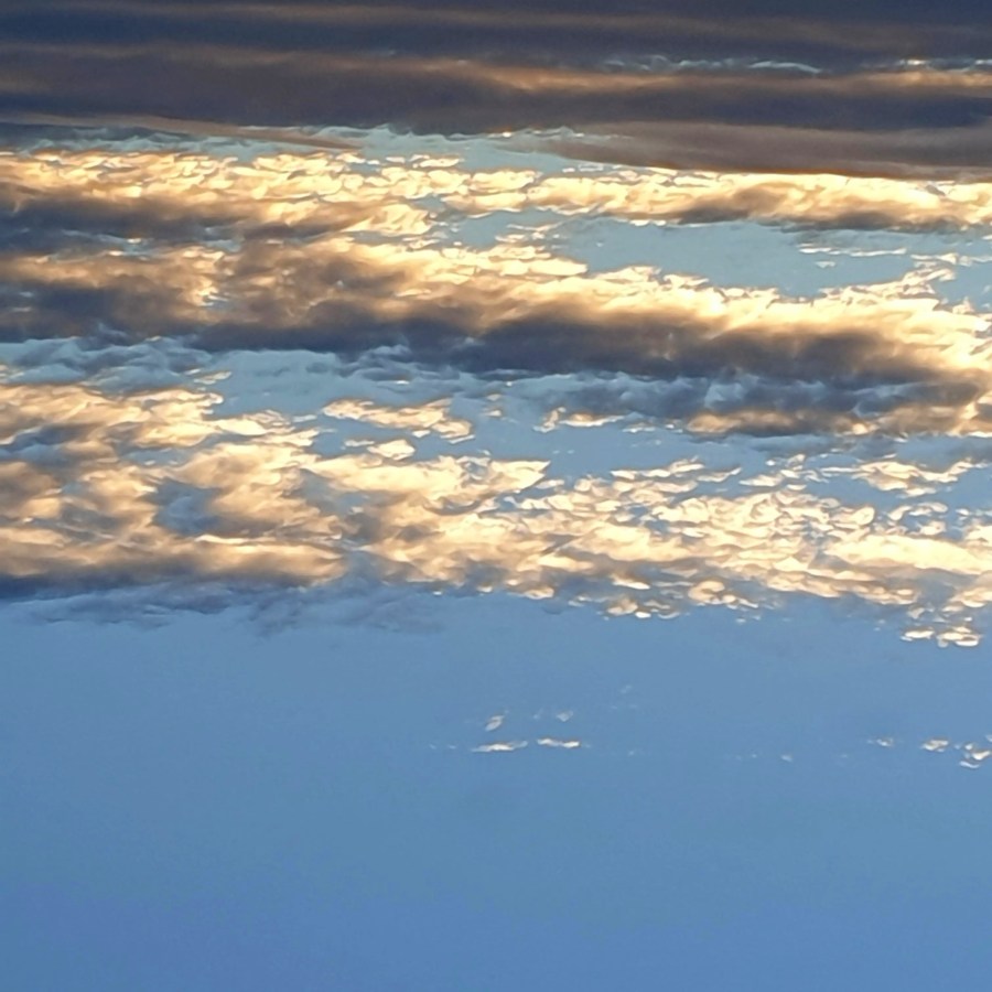 Journal Sequence #5: Notes from&nbsp;Hypnogogia